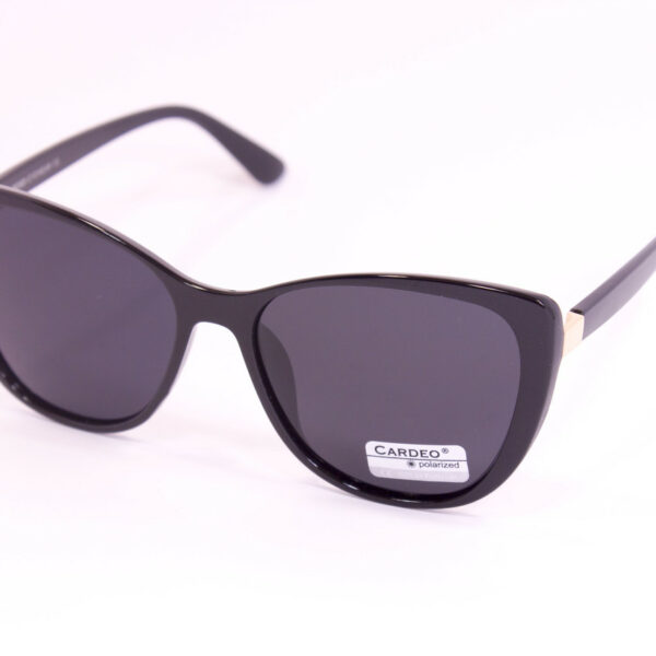 Сонцезахисні окуляри з футляром F0905-1 topseason Cardeo