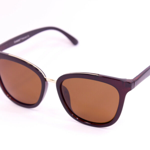 Сонцезахисні окуляри з футляром F0911-2 topseason Cardeo