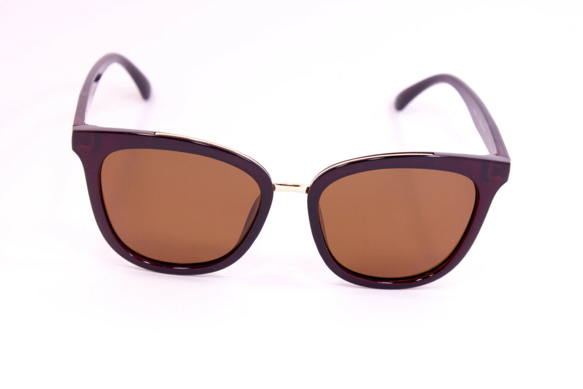 Градиенты Сонцезахисні окуляри з футляром F0911-2 topseason