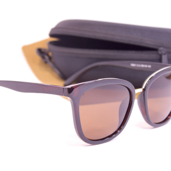 Сонцезахисні окуляри з футляром F0911-2 topseason