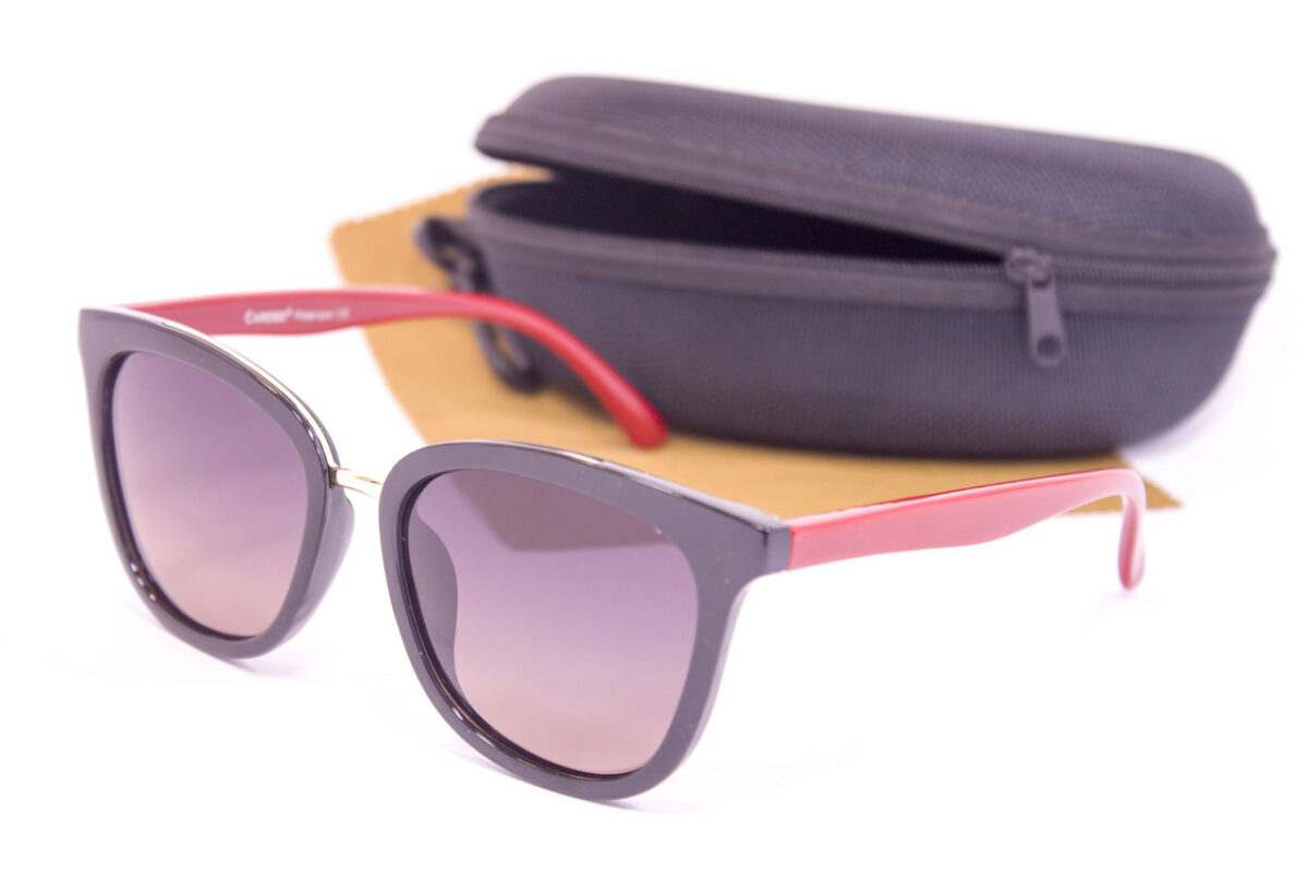Сонцезахисні окуляри з футляром F0911-4 topseason