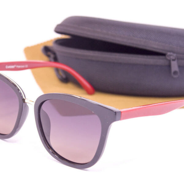 Сонцезахисні окуляри з футляром F0911-4 topseason