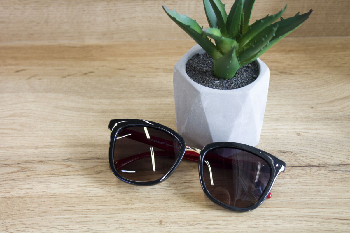 Градиенты Сонцезахисні окуляри з футляром F0911-4 topseason