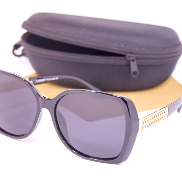 Сонцезахисні окуляри з футляром F0916-1 topseason