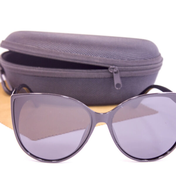 Сонцезахисні окуляри з футляром F0923-1 topseason