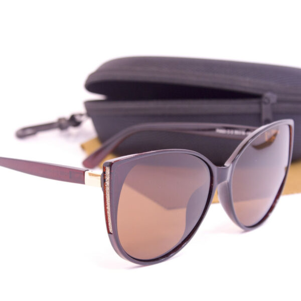 Сонцезахисні окуляри з футляром F0923-2 topseason