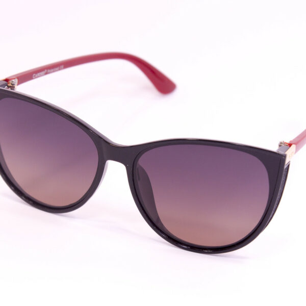 Сонцезахисні окуляри з футляром F0925-4 topseason Cardeo
