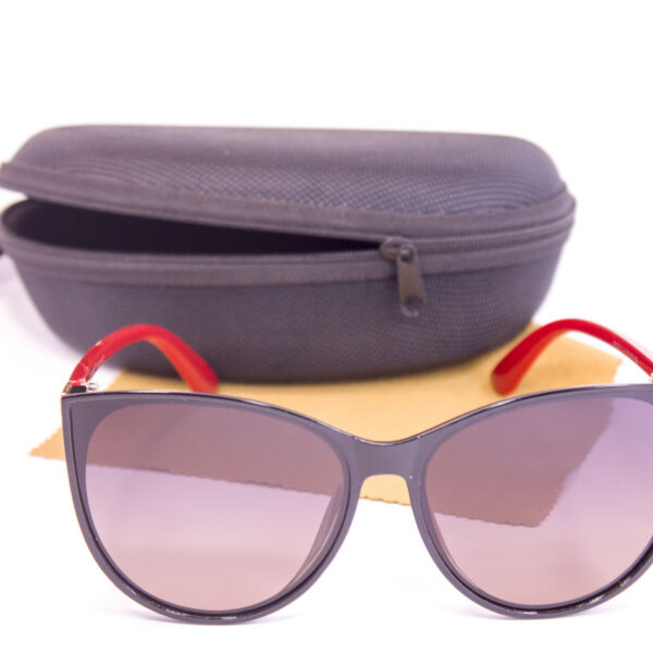 Сонцезахисні окуляри з футляром F0925-4 topseason