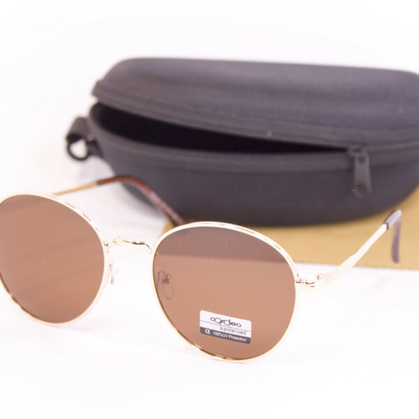 Сонцезахисні окуляри з футляром F0936-3 topseason