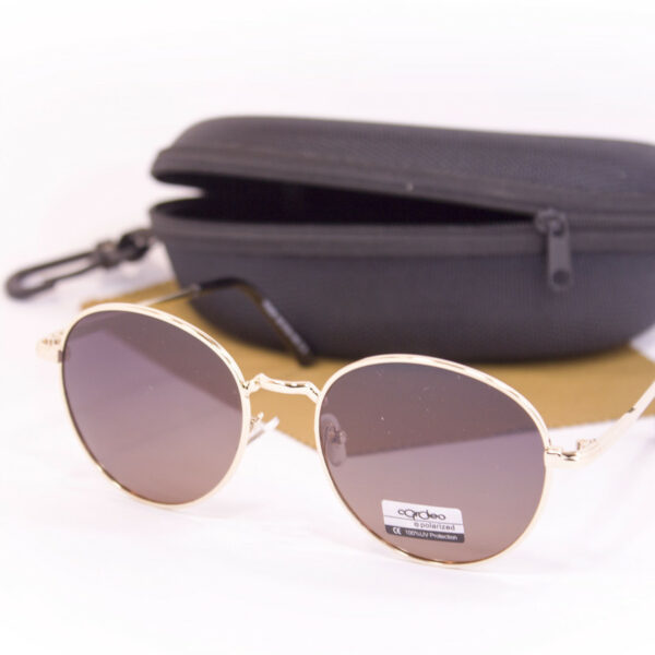 Сонцезахисні окуляри з футляром F0936-5 topseason