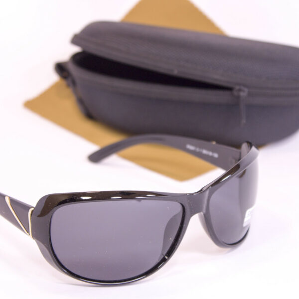 Сонцезахисні окуляри з футляром F0941-1 topseason