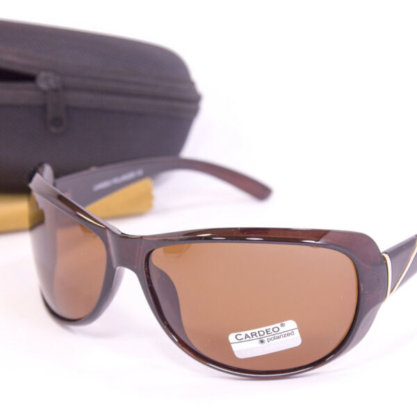 Сонцезахисні окуляри з футляром F0941-2 topseason