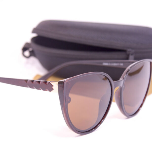 Сонцезахисні окуляри з футляром F0946-2 topseason