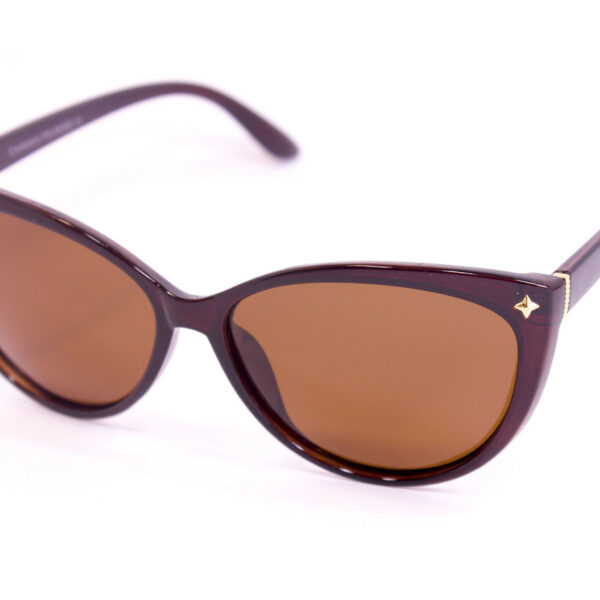 Сонцезахисні окуляри з футляром F0949-2 topseason Cardeo