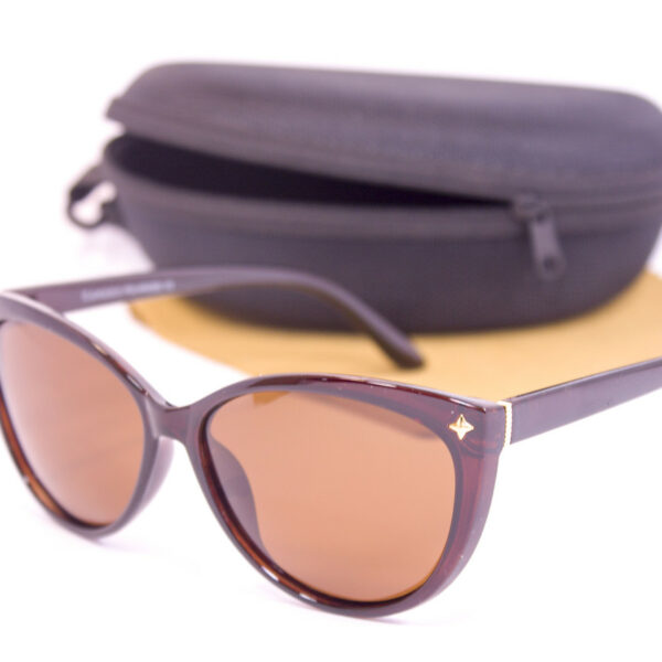 Сонцезахисні окуляри з футляром F0949-2 topseason