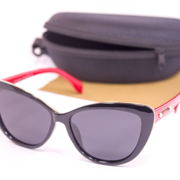 Сонцезахисні окуляри з футляром F0953-3 topseason