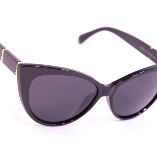 Сонцезахисні окуляри з футляром F0954-1 topseason Cardeo