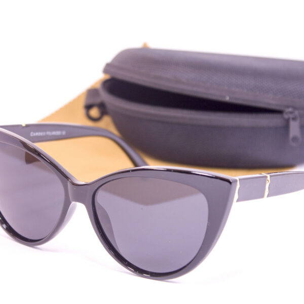 Сонцезахисні окуляри з футляром F0954-1 topseason