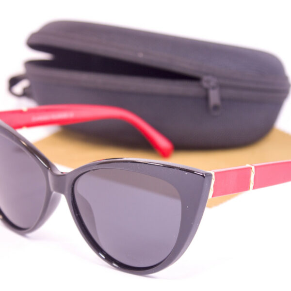 Сонцезахисні окуляри з футляром F0954-3 topseason