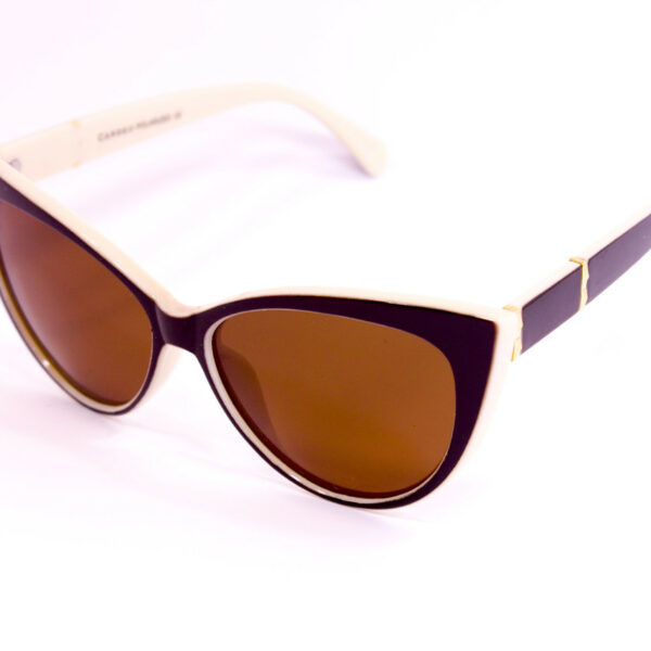 Сонцезахисні окуляри з футляром F0954-4 topseason Cardeo