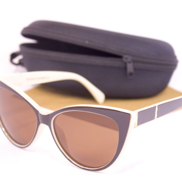 Сонцезахисні окуляри з футляром F0954-4 topseason