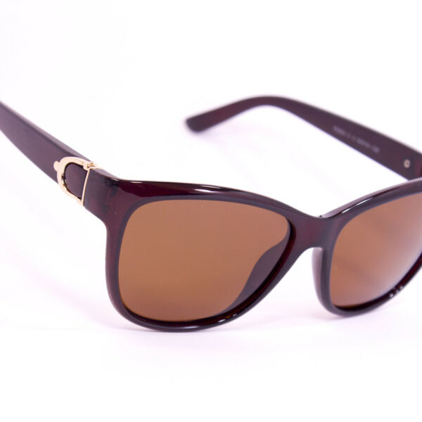 Сонцезахисні окуляри з футляром F0955-2 topseason Cardeo