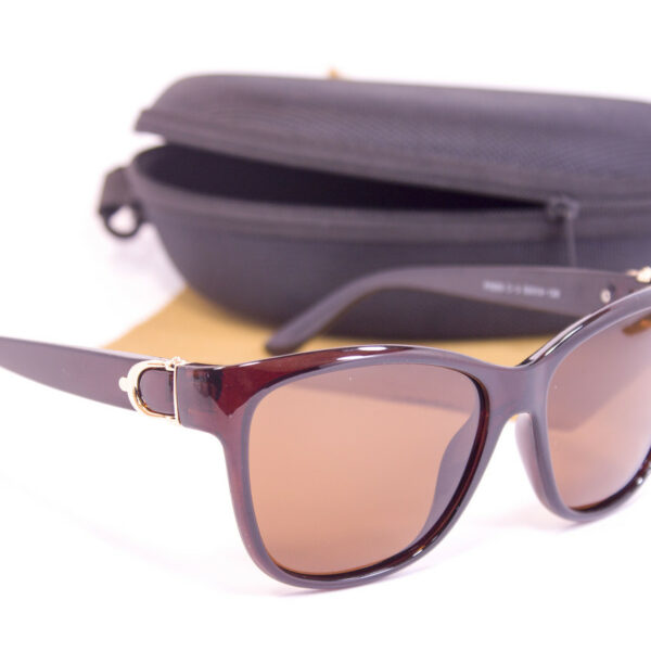Сонцезахисні окуляри з футляром F0955-2 topseason