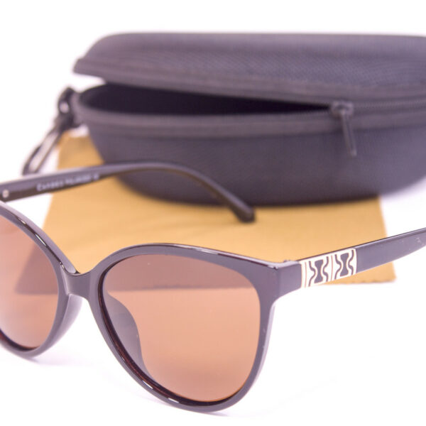 Сонцезахисні окуляри з футляром F0956-2 topseason