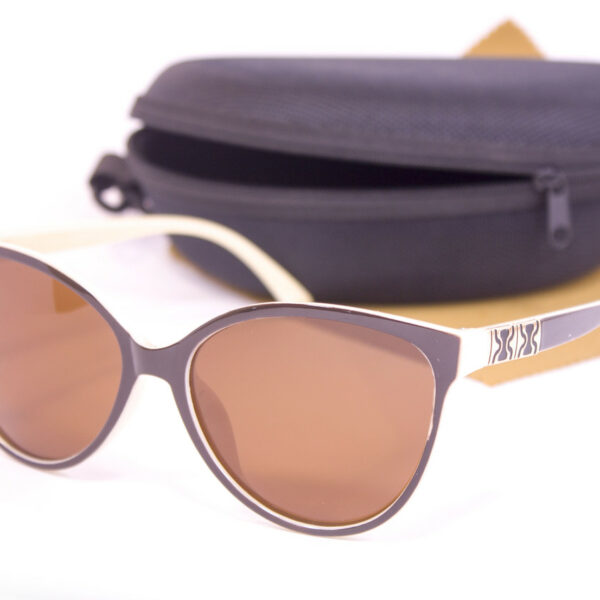 Сонцезахисні окуляри з футляром F0956-4 topseason