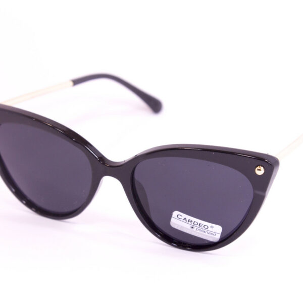 Сонцезахисні окуляри з футляром F0958-1 topseason Cardeo