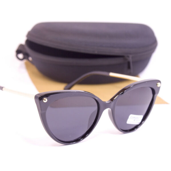 Сонцезахисні окуляри з футляром F0958-1 topseason