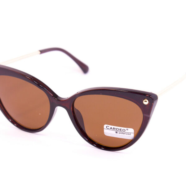 Сонцезахисні окуляри з футляром F0958-2 topseason Cardeo