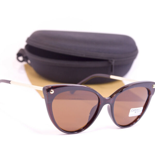 Сонцезахисні окуляри з футляром F0958-2 topseason