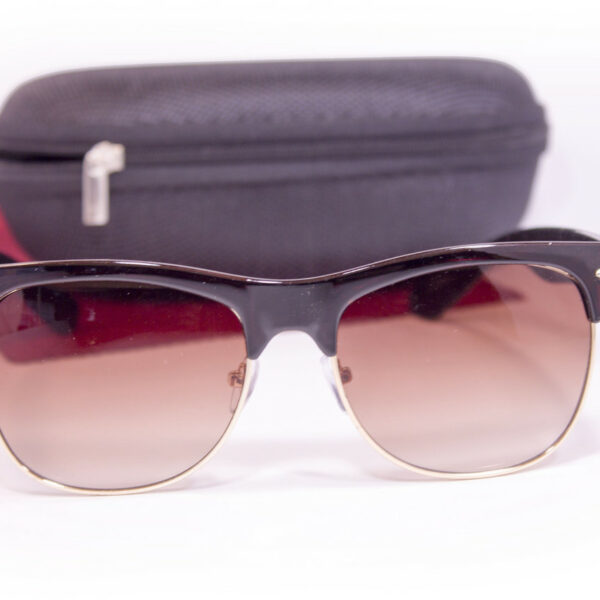 Сонцезахисні окуляри з футляром F8018-1 topseason