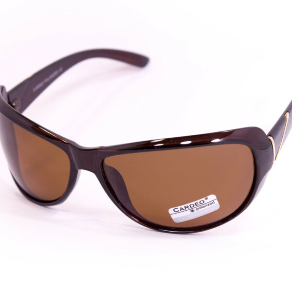 Жіночі сонцезахисні окуляри polarized Р0941-2 topseason